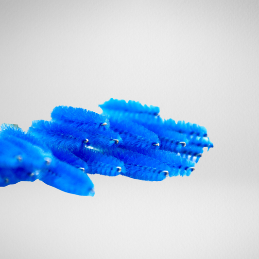 Mascarabrushes, blauw