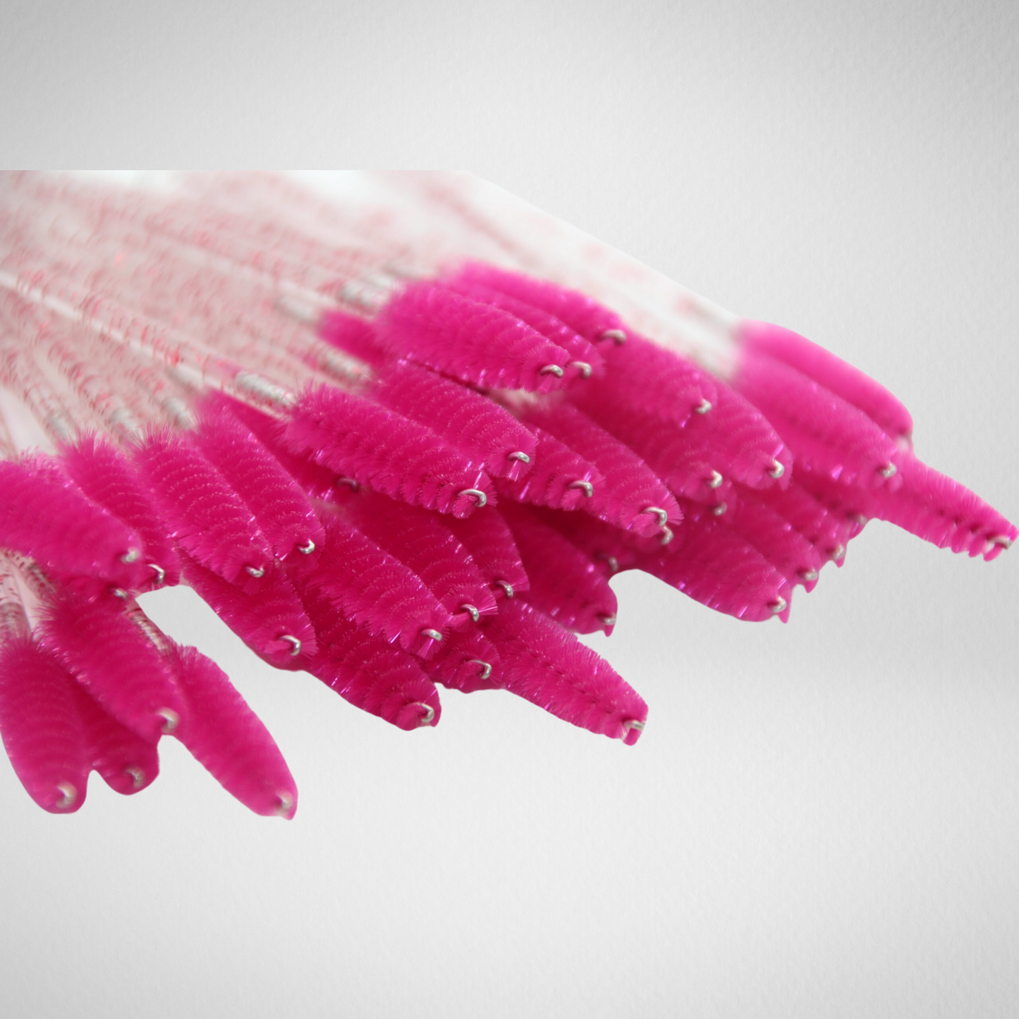 Mascarabrushes, donkerroze